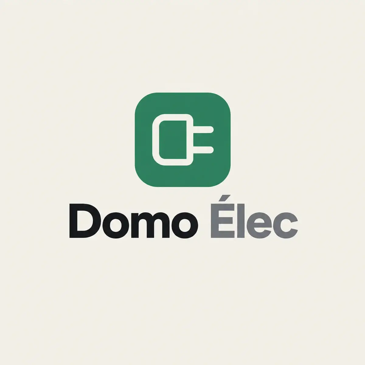 Logo d'électricien pour le spécialiste des bornes de recharge et de la maison connectée