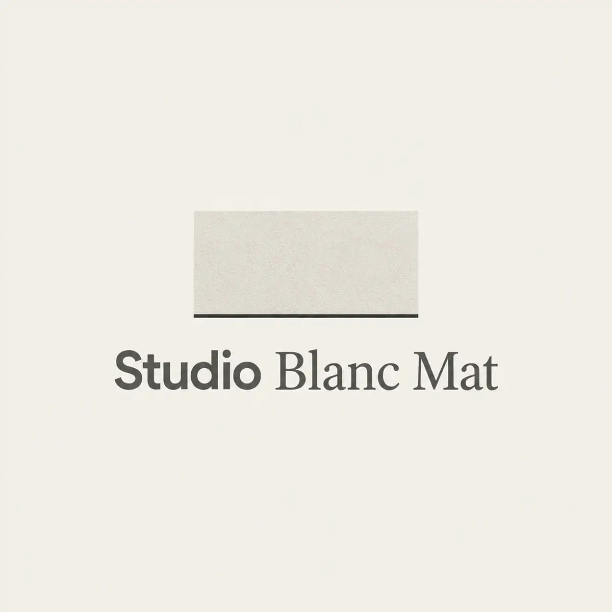 Logo de peintre en bâtiment pour spécialiste des blancs et des enduits